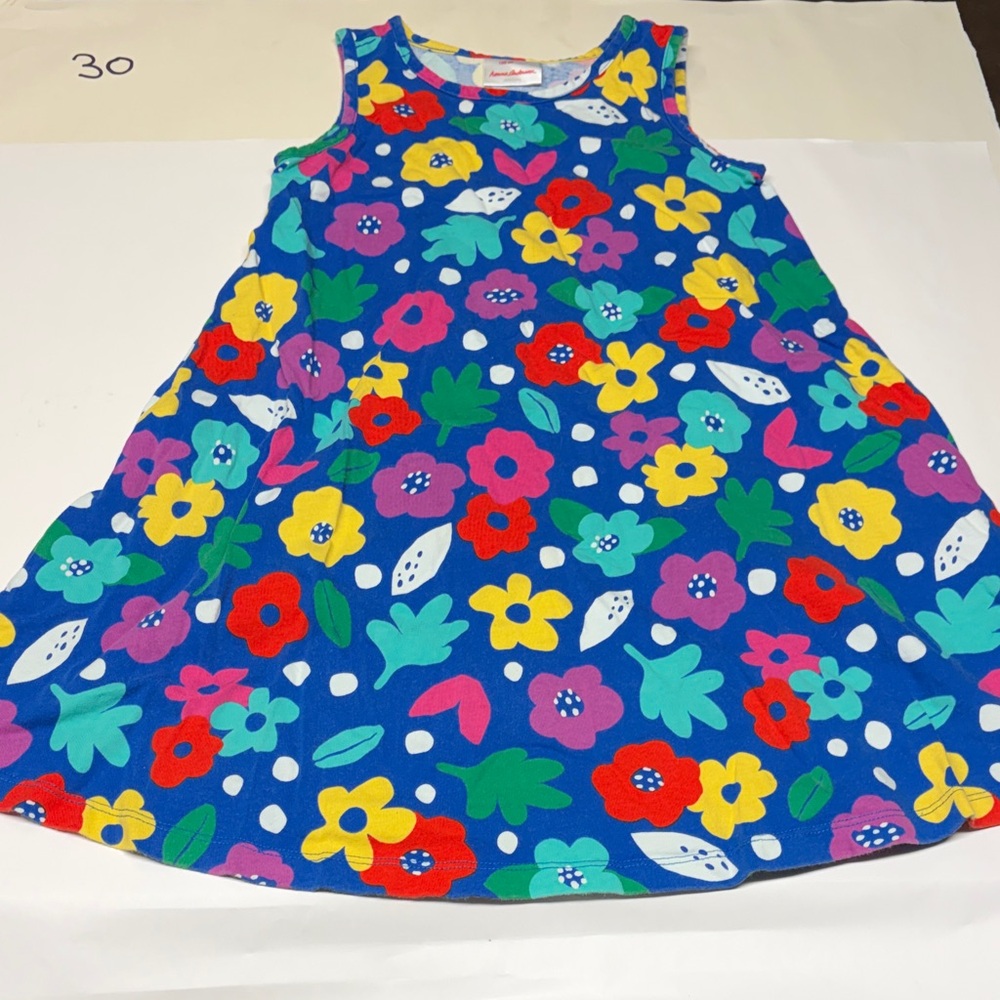 Hanna Andersson Blue Floral Kids Dress